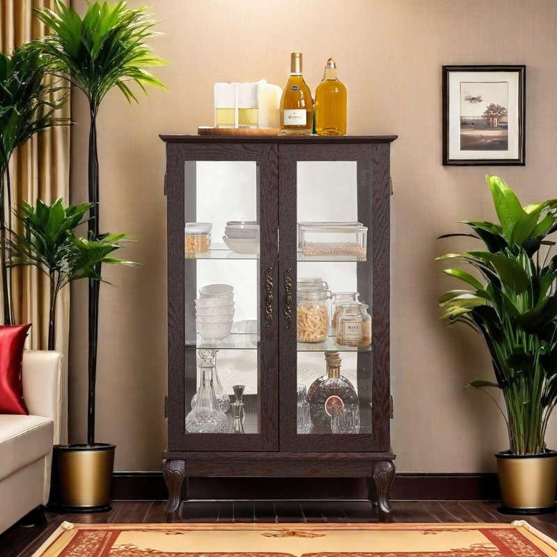 Canora Grey 2 Doors Curio Cabinet With Tempered Glass Doors Curio Cabinets With Mirrored Back Panel And Adjustable Shelves Lighted Display Cabinet For Home Office Light Bulb Included Wayfair